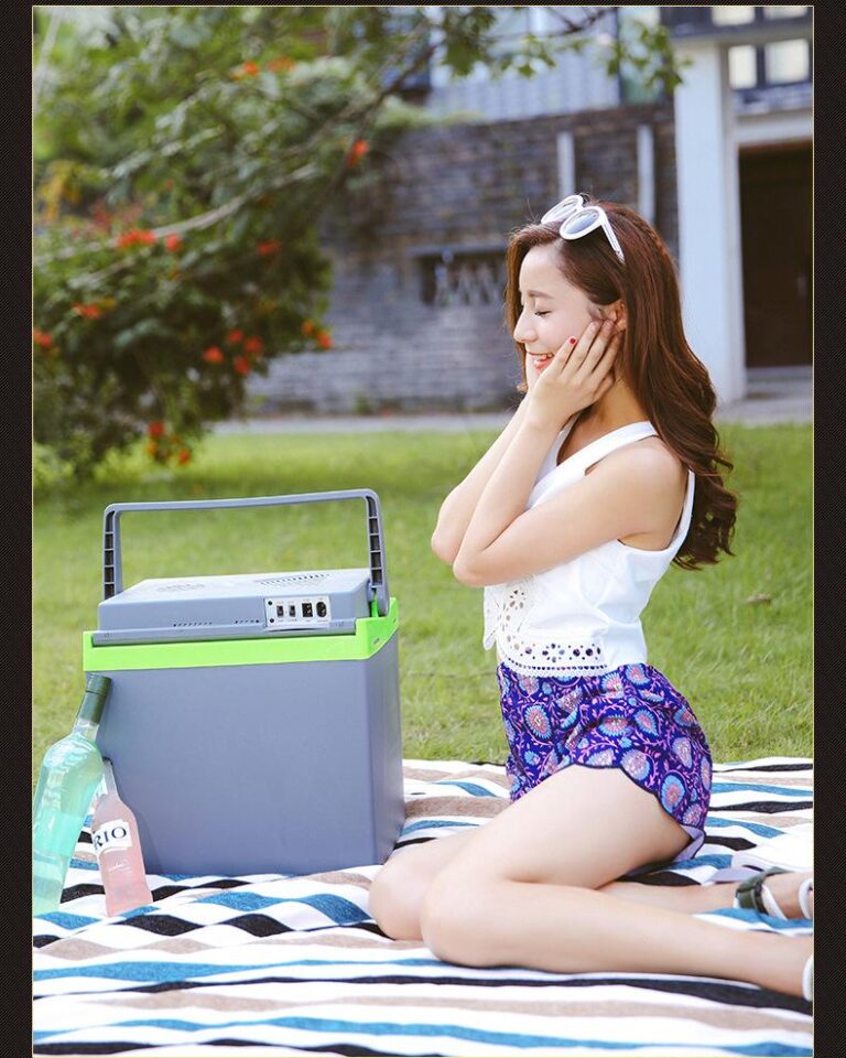 Refroidisseur Portable Urbain Thermoelectrique Pour Boissons Et Aliments Transport Facile